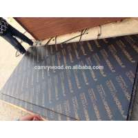 the best price film faced plywood/marine plywood/ formwork plywood manufacturer