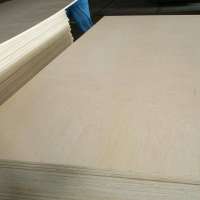 3mm 5mm 8mm Birch Plywood for furniture