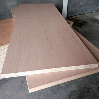 44mm Natural Beech Flush Door