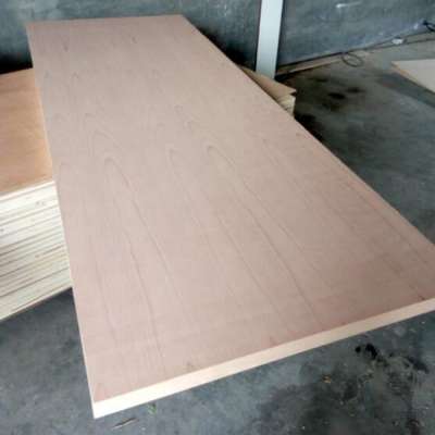 Natural Beech Solid Door